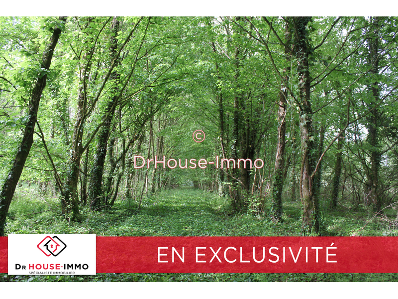 Vente Terrain à Sainte-Anne-sur-Brivet (44160) - Dr House-Immo