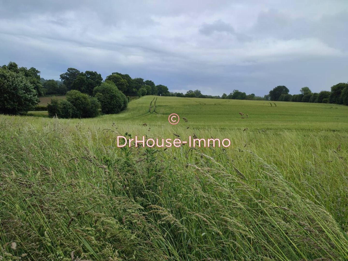 Photo 1 : Vente Terrain La Lande-Patry 1397 m²