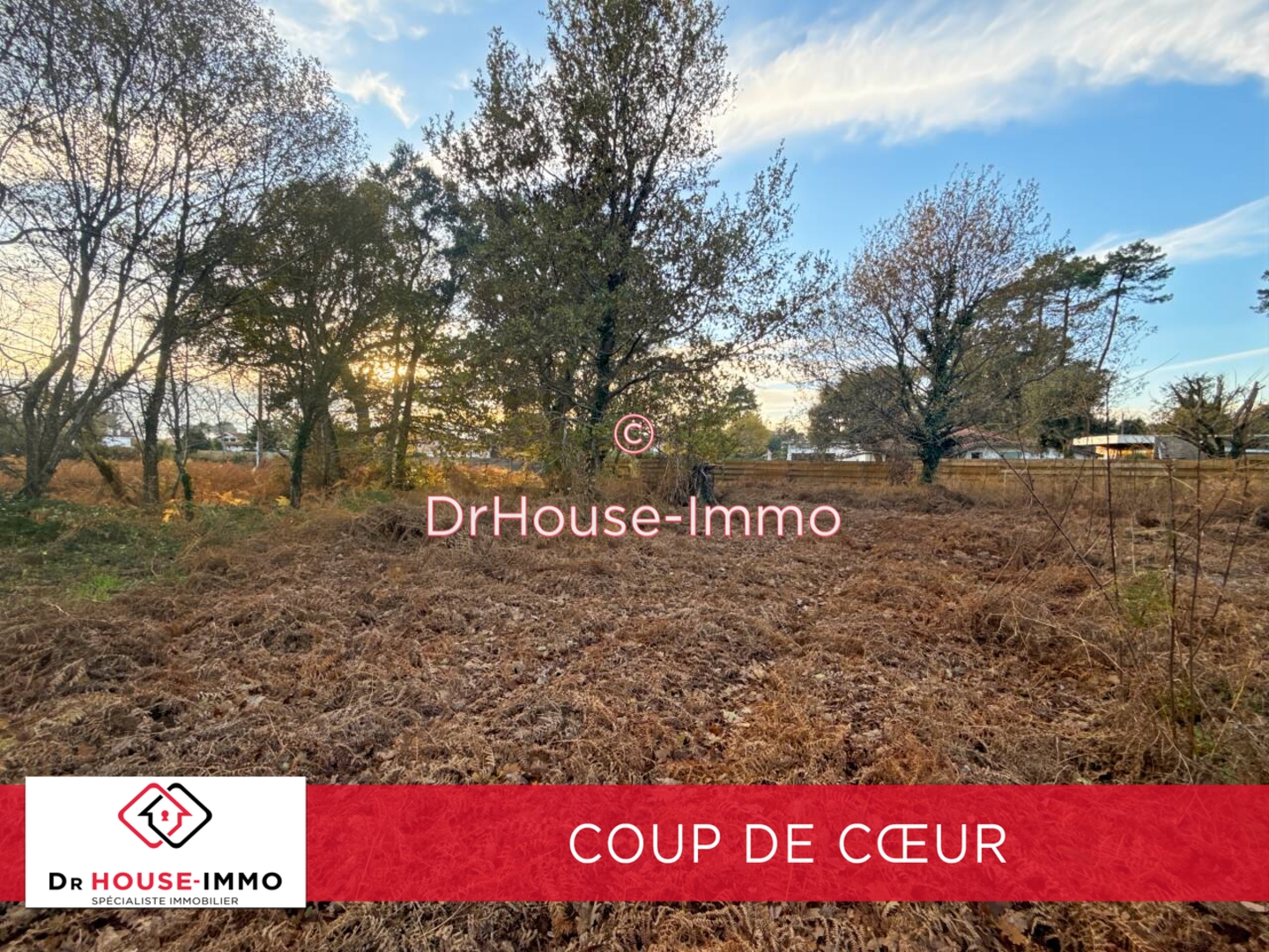 Photo 1 : Vente Terrain Messanges 1442 m²