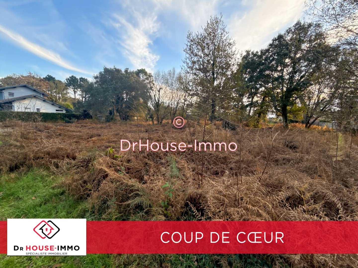 Photo 1 : Vente Terrain Messanges 1558 m²