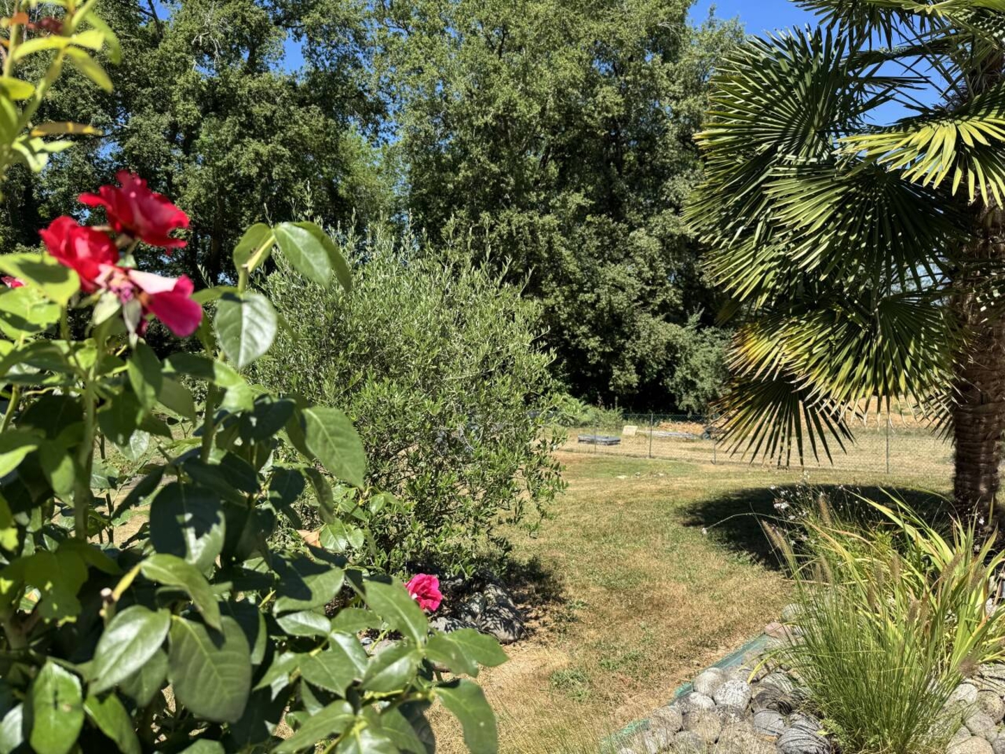 Photo 3 : Vente Maison 8 pièces Coulounieix-Chamiers 140 m²