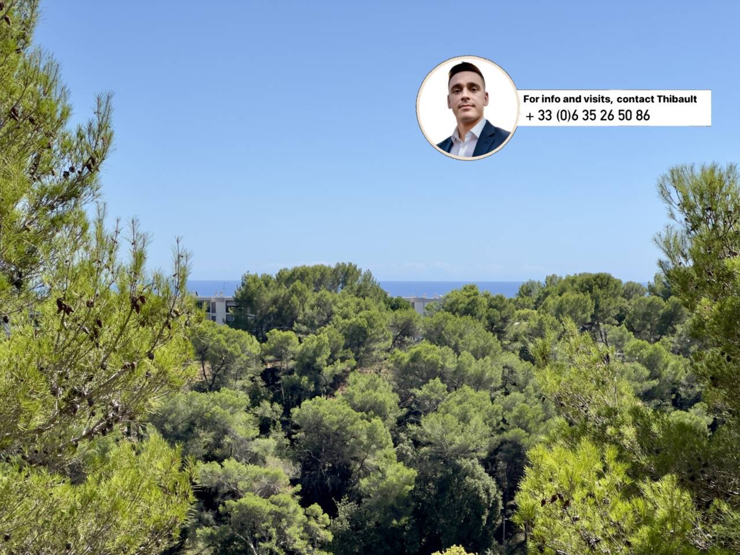 Photo 1 : Vente Appartement 2 pièces Mougins 34 m²