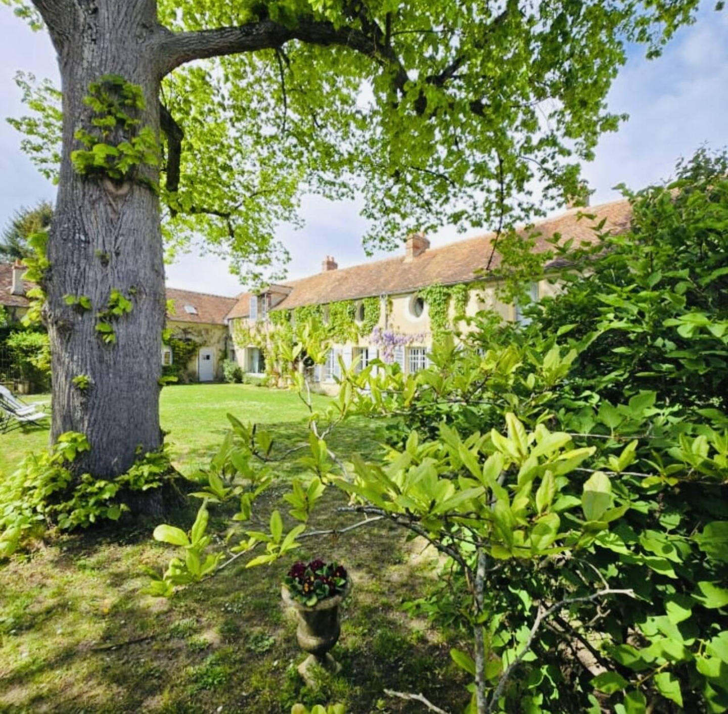Photo 1 : Vente Maison 10 pièces Seine-Port 310 m²