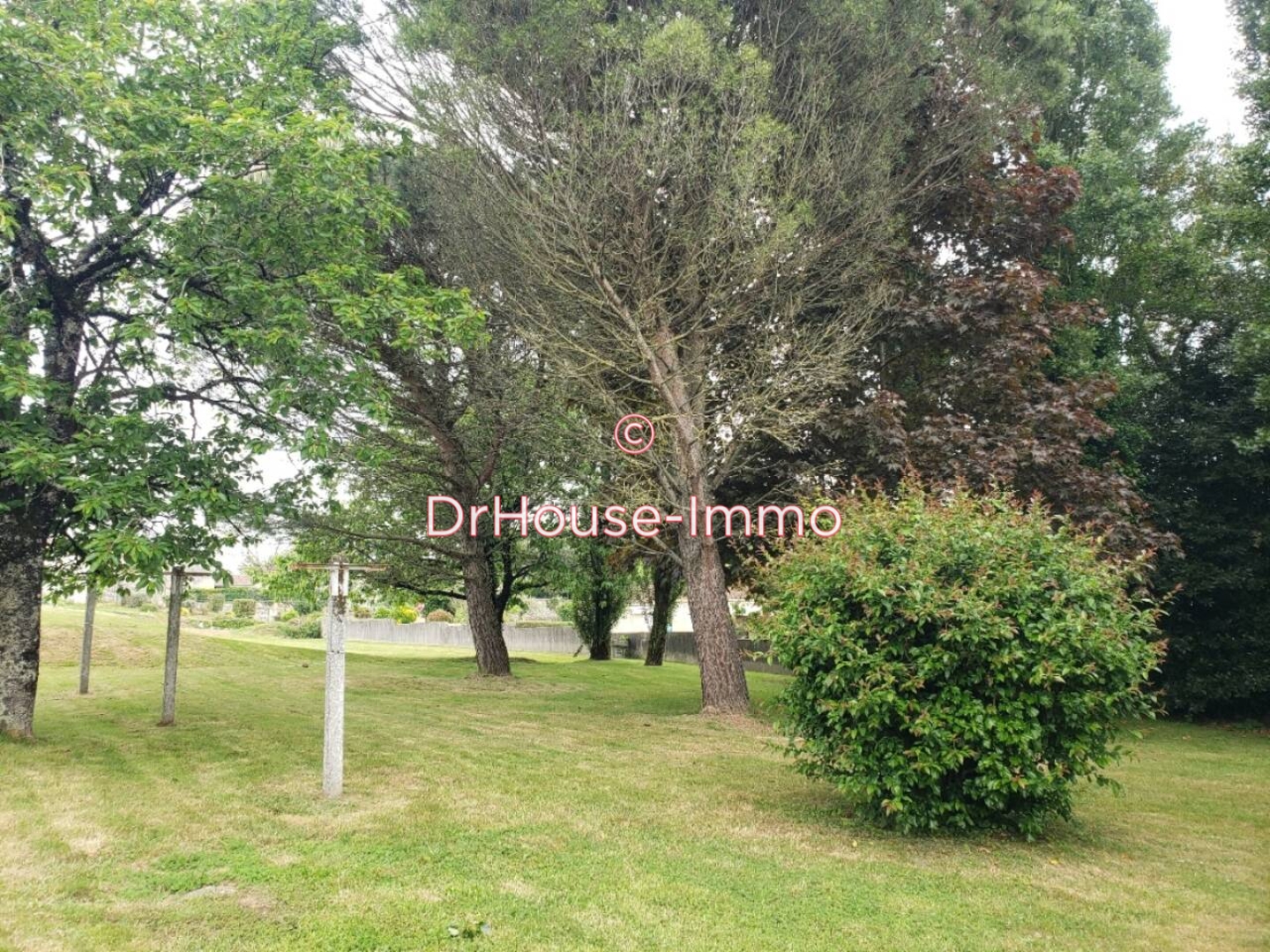 Photo 3 : Vente Maison 7 pièces Saint-Michel-le-Cloucq 130 m²