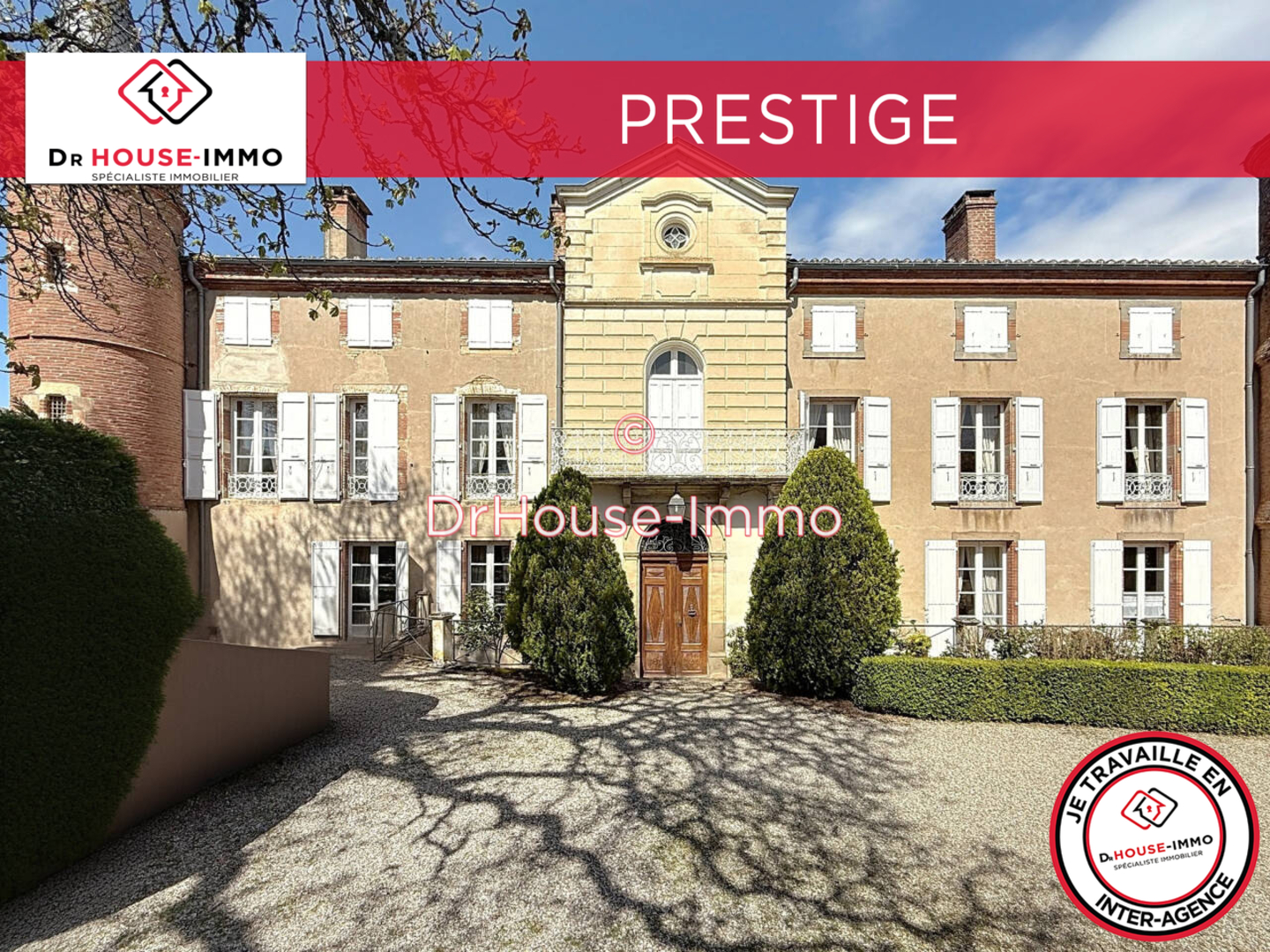 Photo 1 : Vente Château 12 pièces Cadalen 650 m²