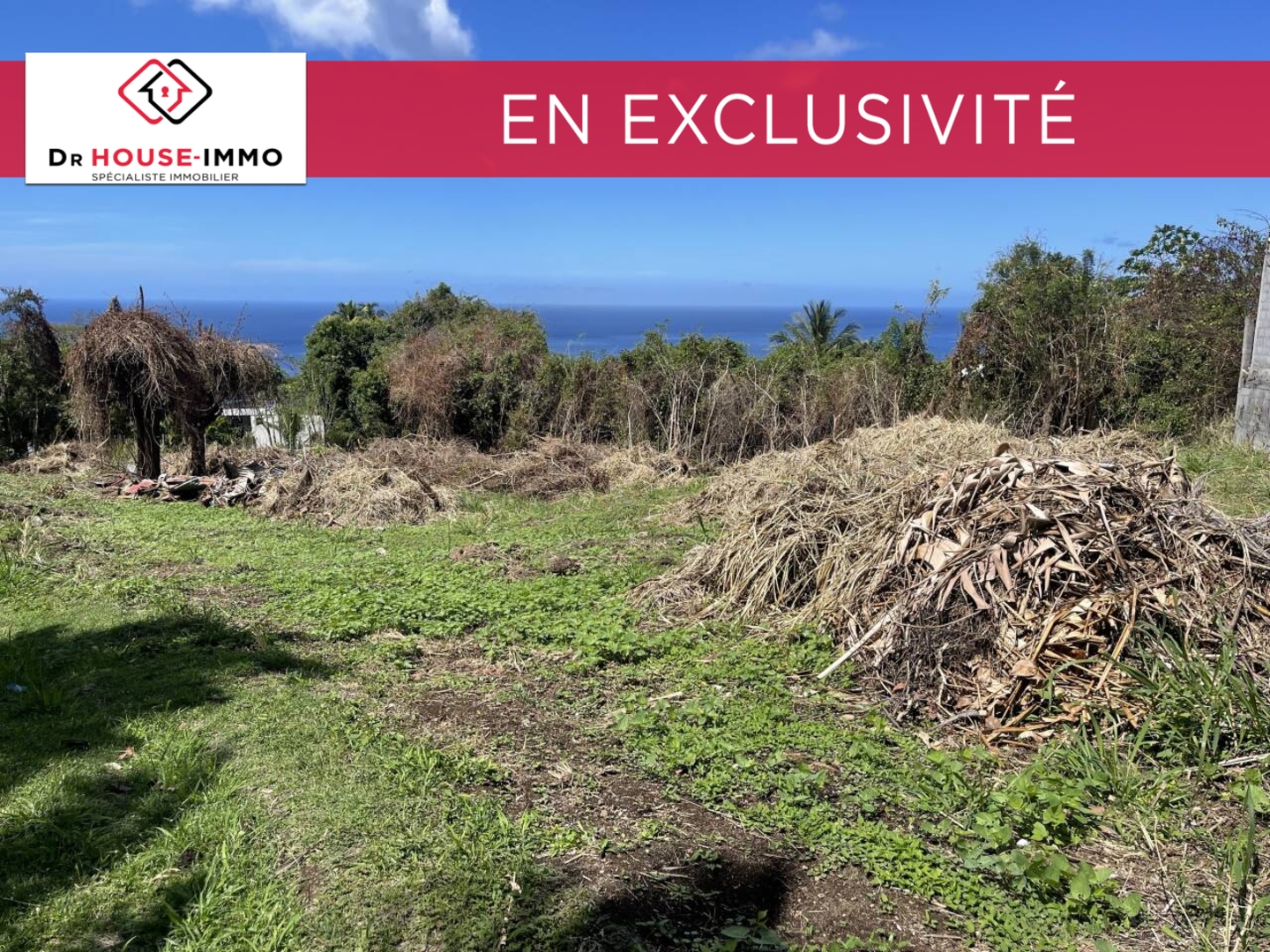 Photo 2 : Vente Terrain Vieux-Habitants 1482 m²