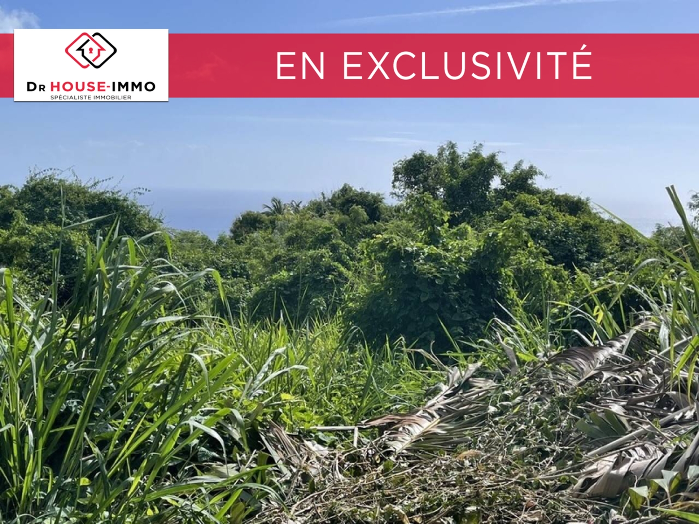 Photo 3 : Vente Terrain Vieux-Habitants 1482 m²