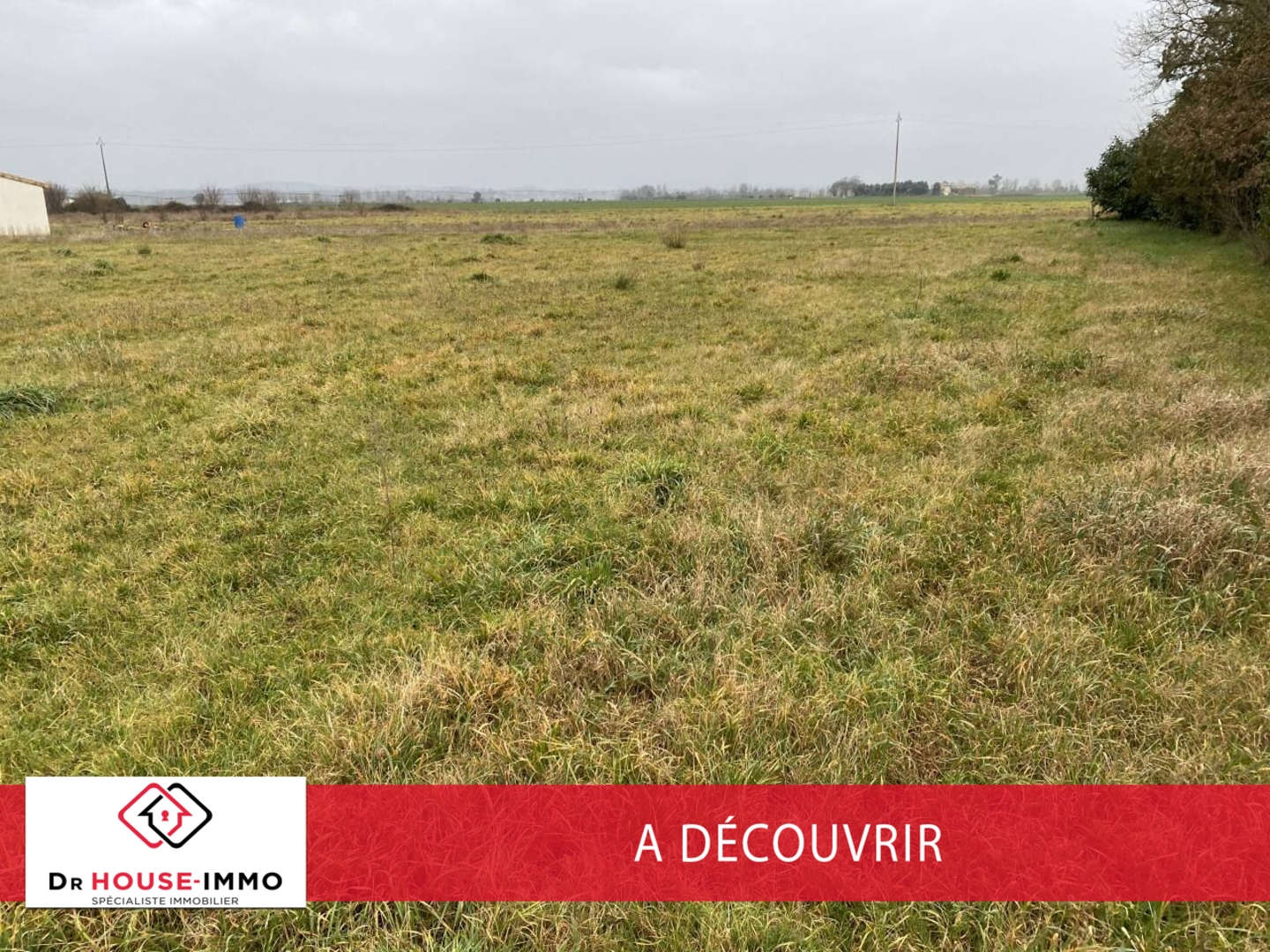 Photo 1 : Vente Terrain Saverdun 5224 m²