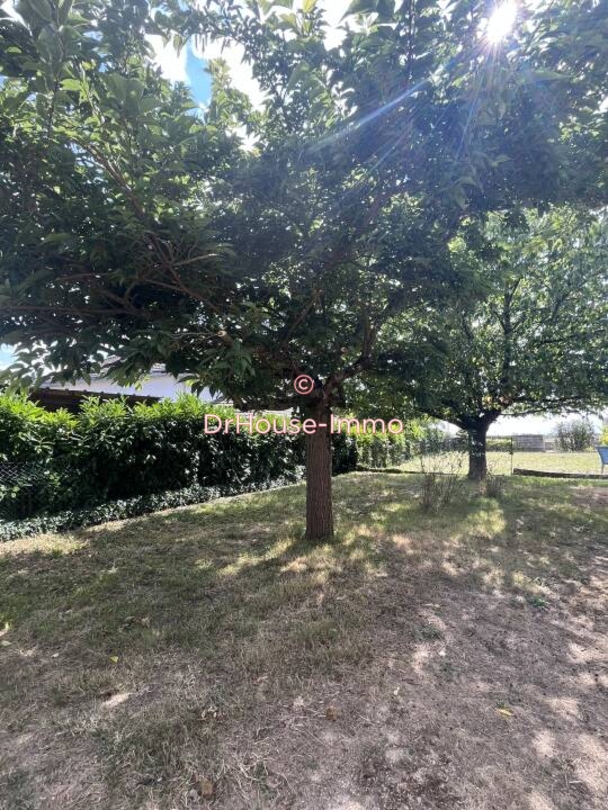 Photo 3 : Location Maison 4 pièces Migné-Auxances 64 m²