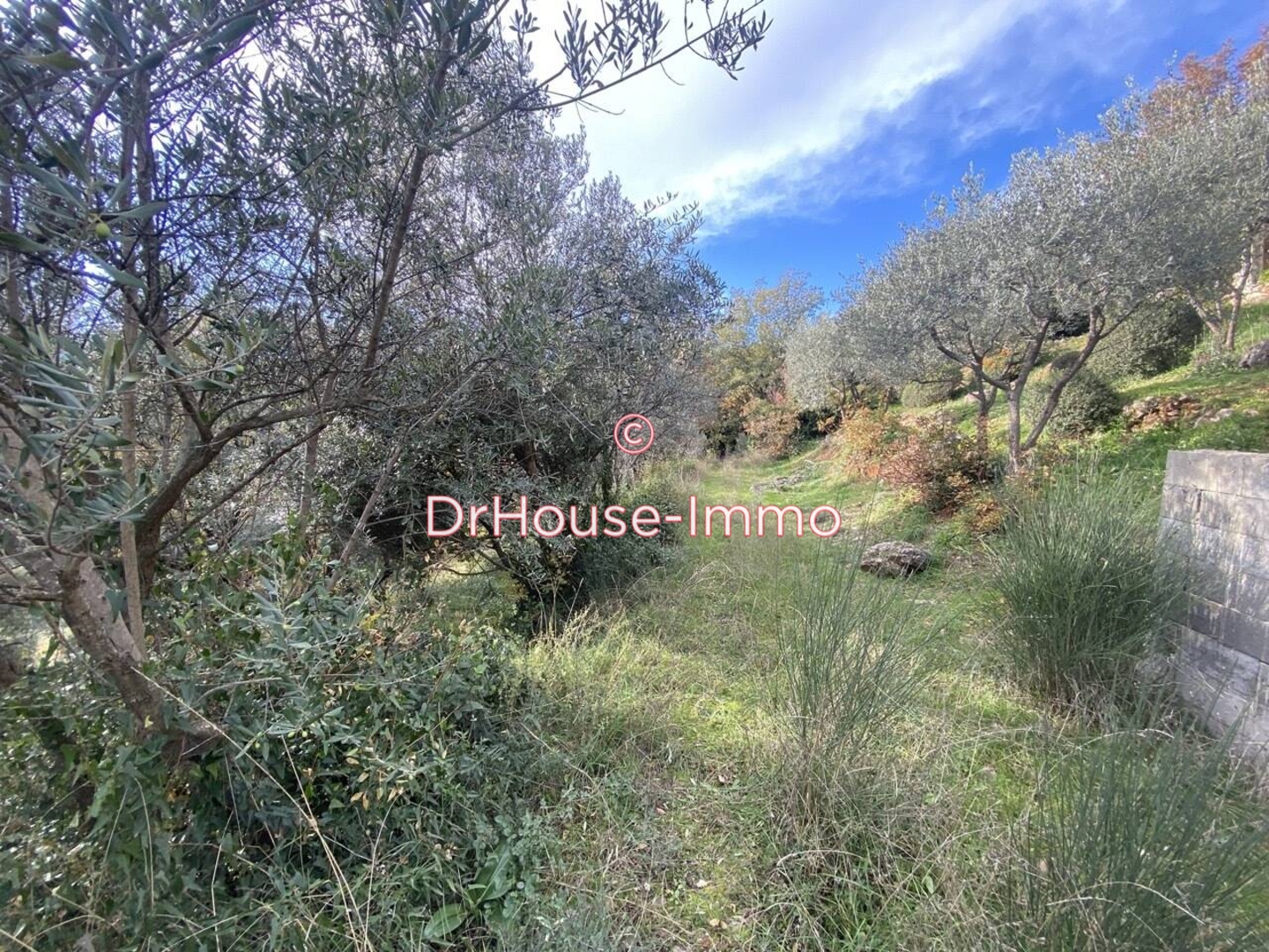 Photo 1 : Vente Terrain Bargemon 6300 m²