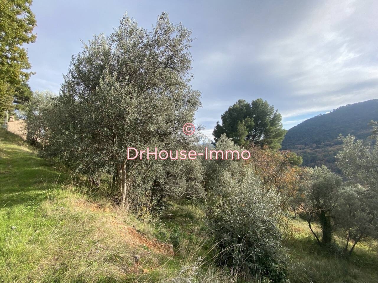 Photo 2 : Vente Terrain Bargemon 6300 m²