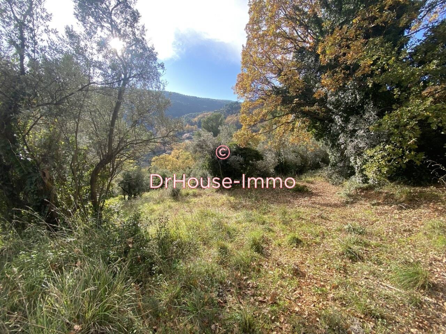 Photo 3 : Vente Terrain Bargemon 6300 m²
