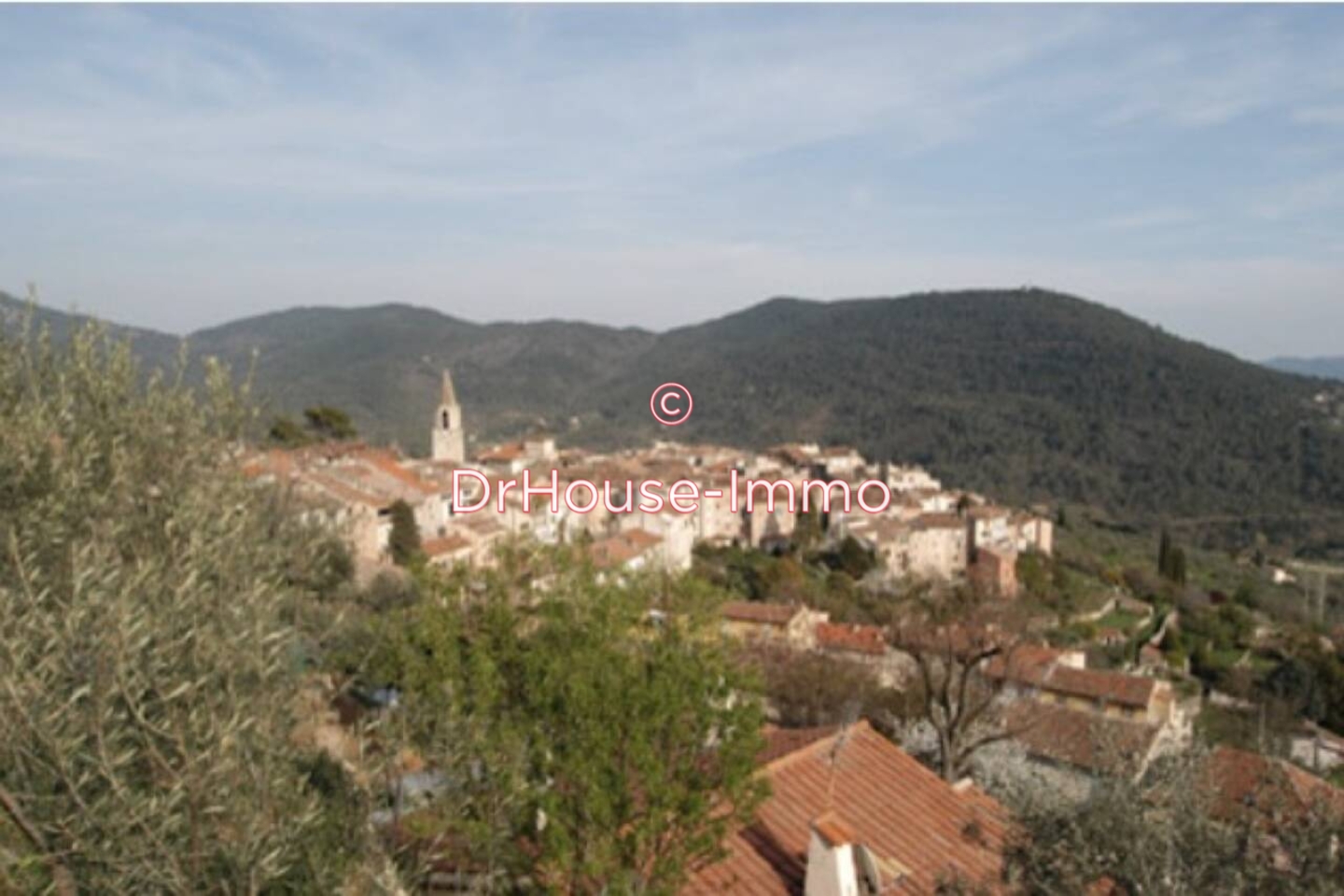 Photo 2 : Vente Terrain  Bargemon 6300 m²
