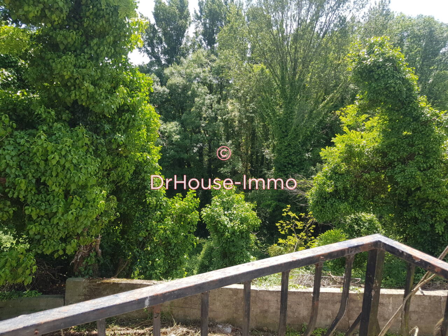 Photo 2 : Vente Maison 6 pièces Castillon-de-Castets 90 m²
