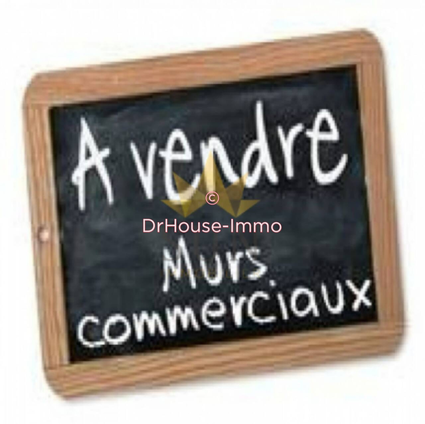 Photo 3 : Vente Commerce 4 pièces Cap d'Agde 260 m²