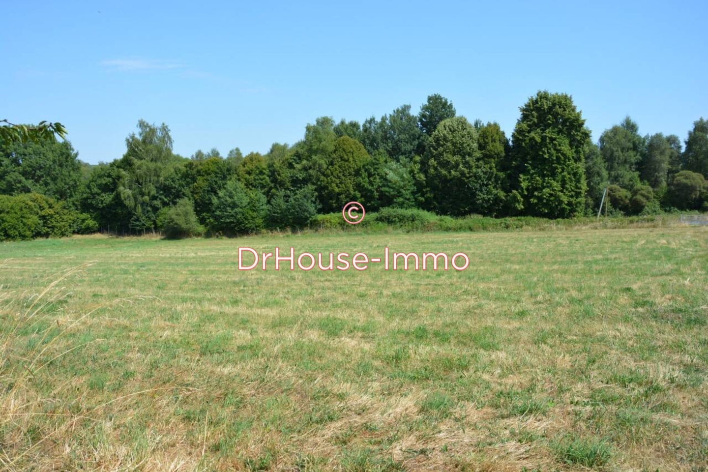 Photo 1 : Vente Terrain  Pageas 11100 m²