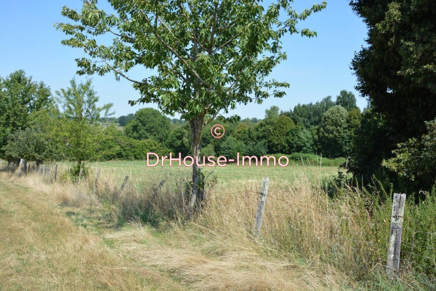 Photo 2 : Vente Terrain  Pageas 11100 m²
