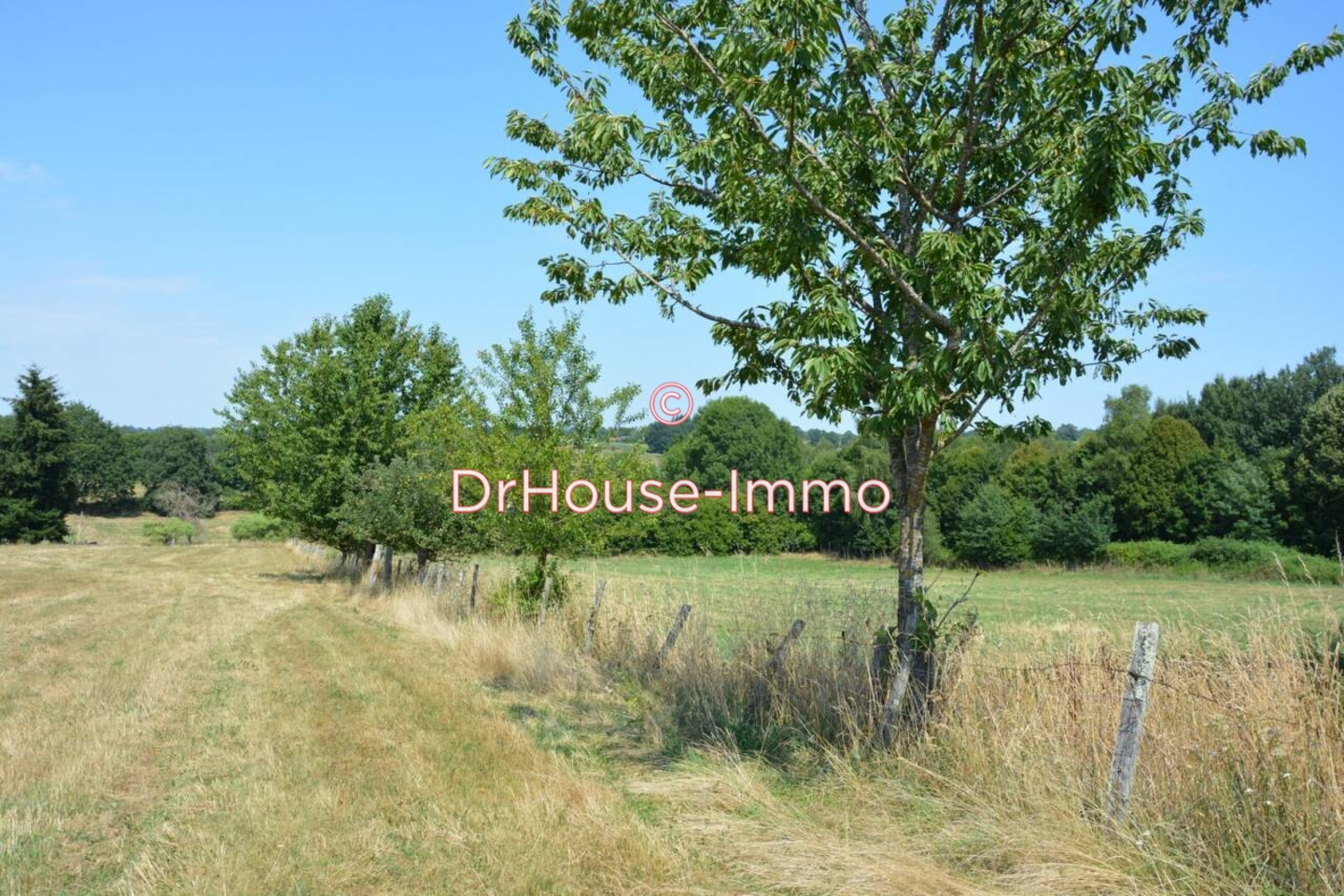 Photo 3 : Vente Terrain  Pageas 11100 m²
