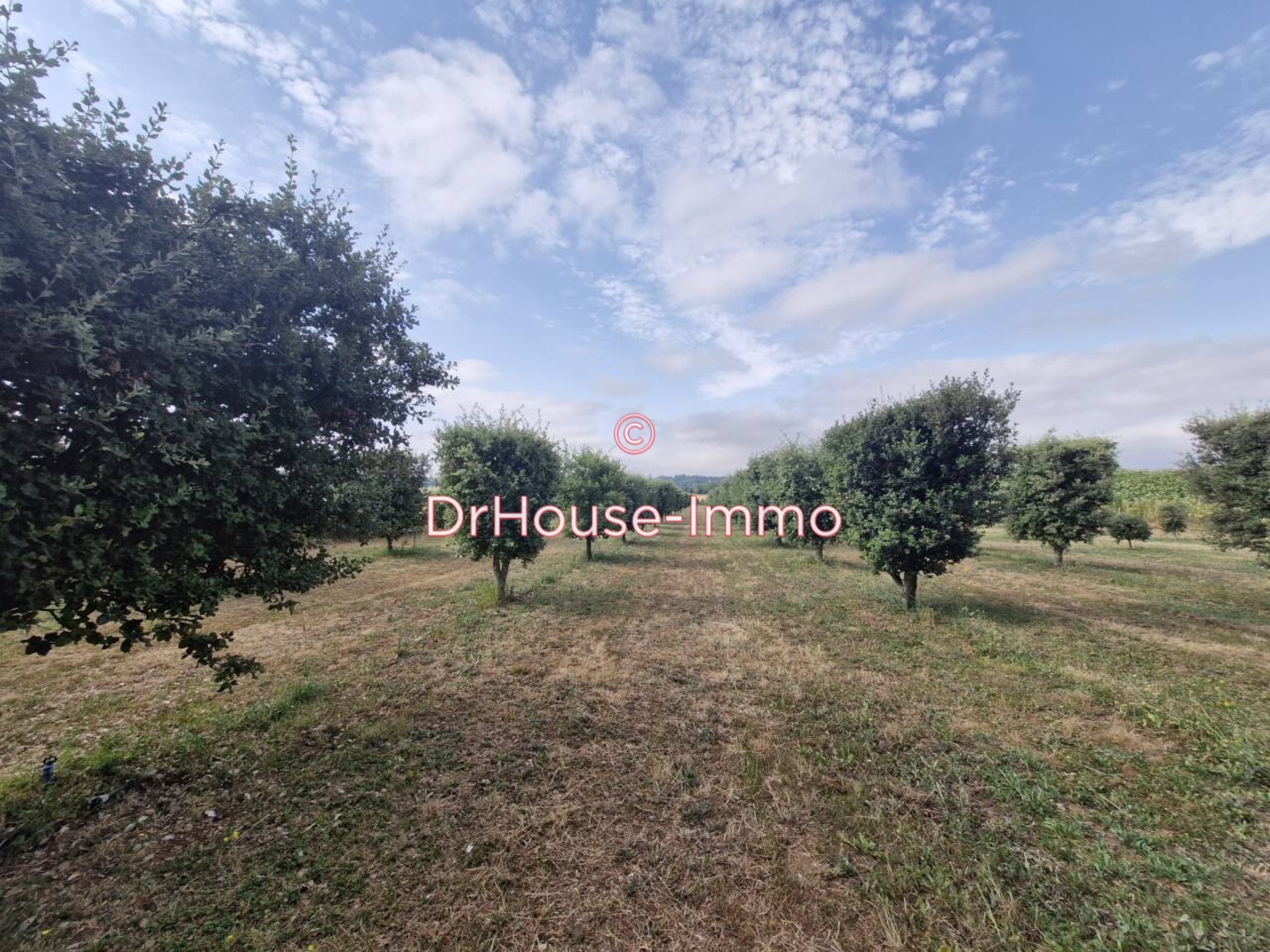 Photo 2 : Vente Terrain Sainte-Néomaye 14000 m²