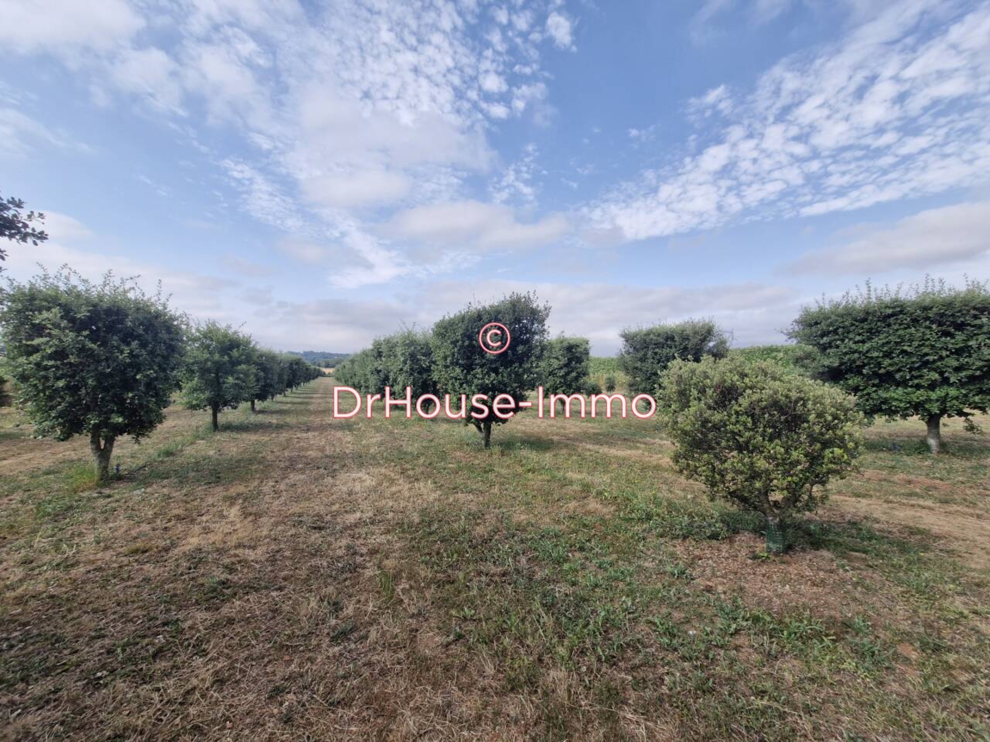 Photo 3 : Vente Terrain Sainte-Néomaye 14000 m²
