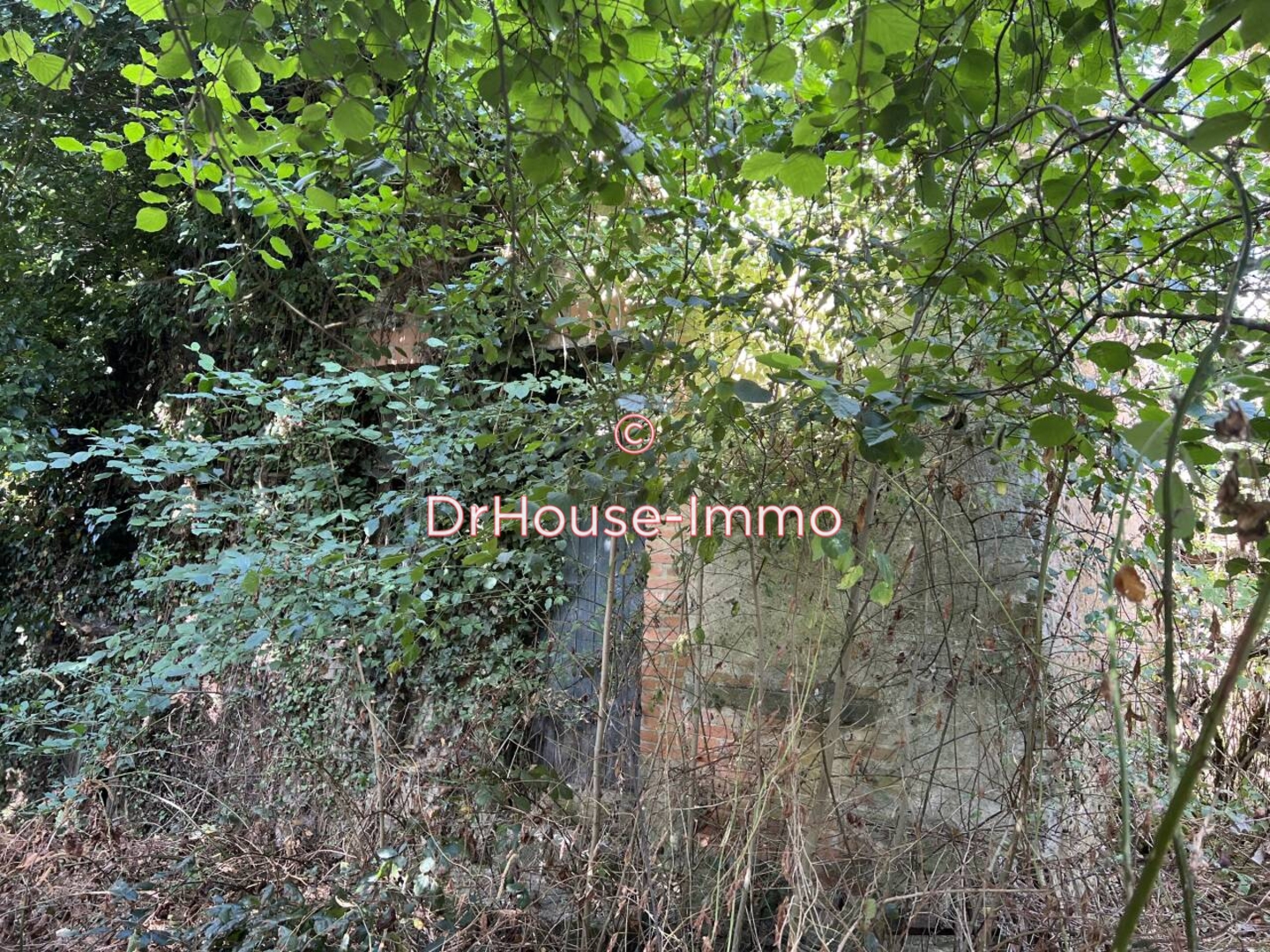 Photo 2 : Vente Maison 2 pièces Saint-Plantaire 40 m²