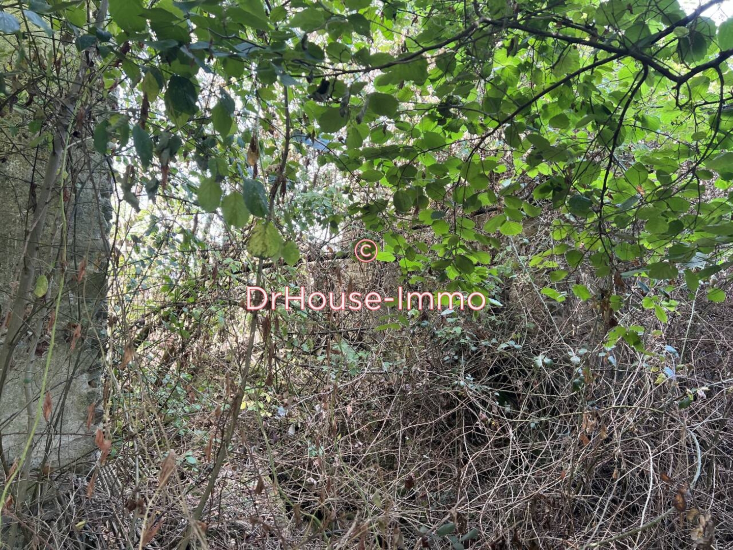 Photo 3 : Vente Maison 2 pièces Saint-Plantaire 40 m²