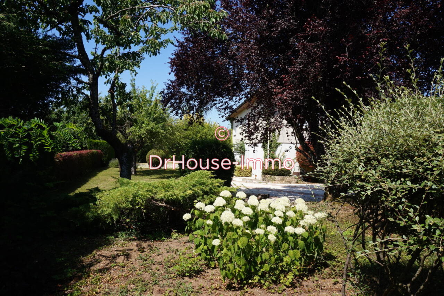 Photo 1 : Vente Maison 6 pièces Verrières 118 m²