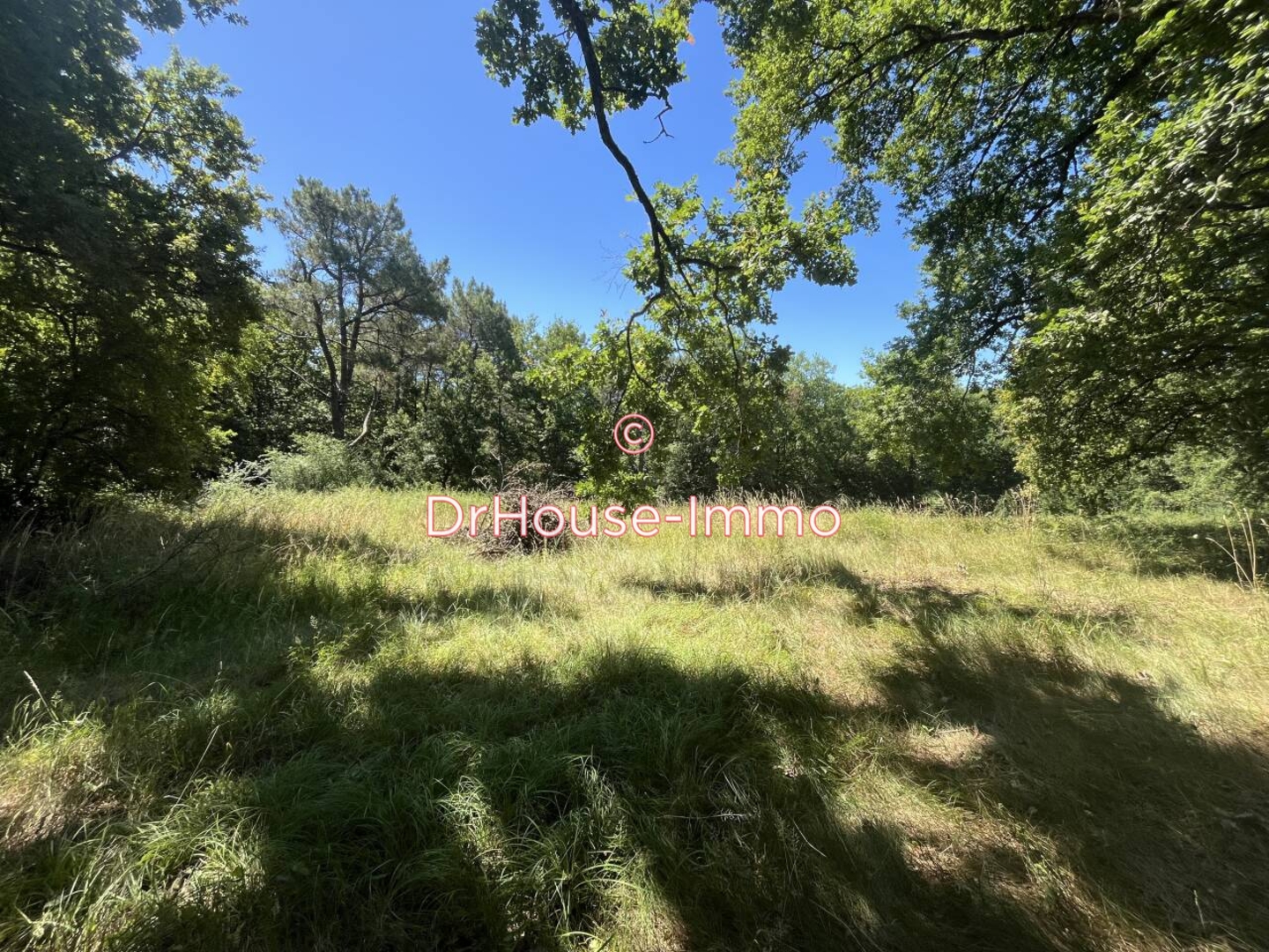 Photo 2 : Vente Maison 5 pièces Tabanac 105 m²