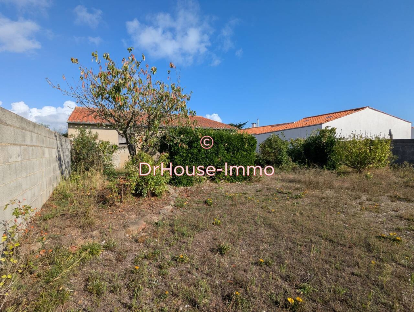 Photo 2 : Vente Terrain  Bretignolles-sur-Mer 432 m²