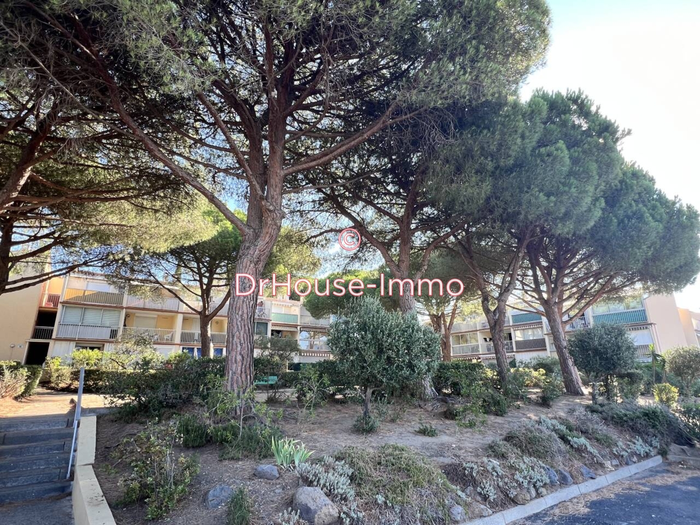 Photo 2 : Vente Appartement 2 pièces Cap d'Agde 19 m²