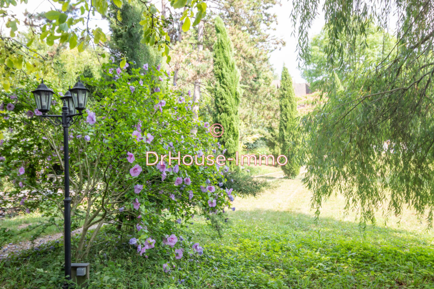 Photo 2 : Vente Maison 7 pièces Maule 190 m²