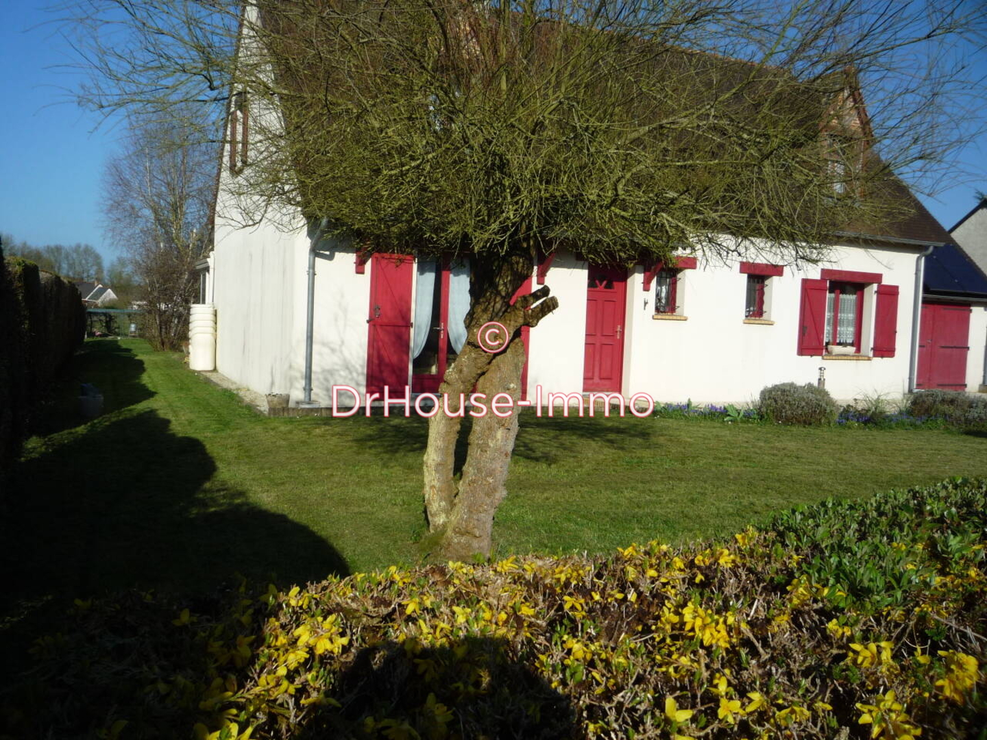 Photo 3 : Vente Maison 6 pièces Ambillou 158 m²