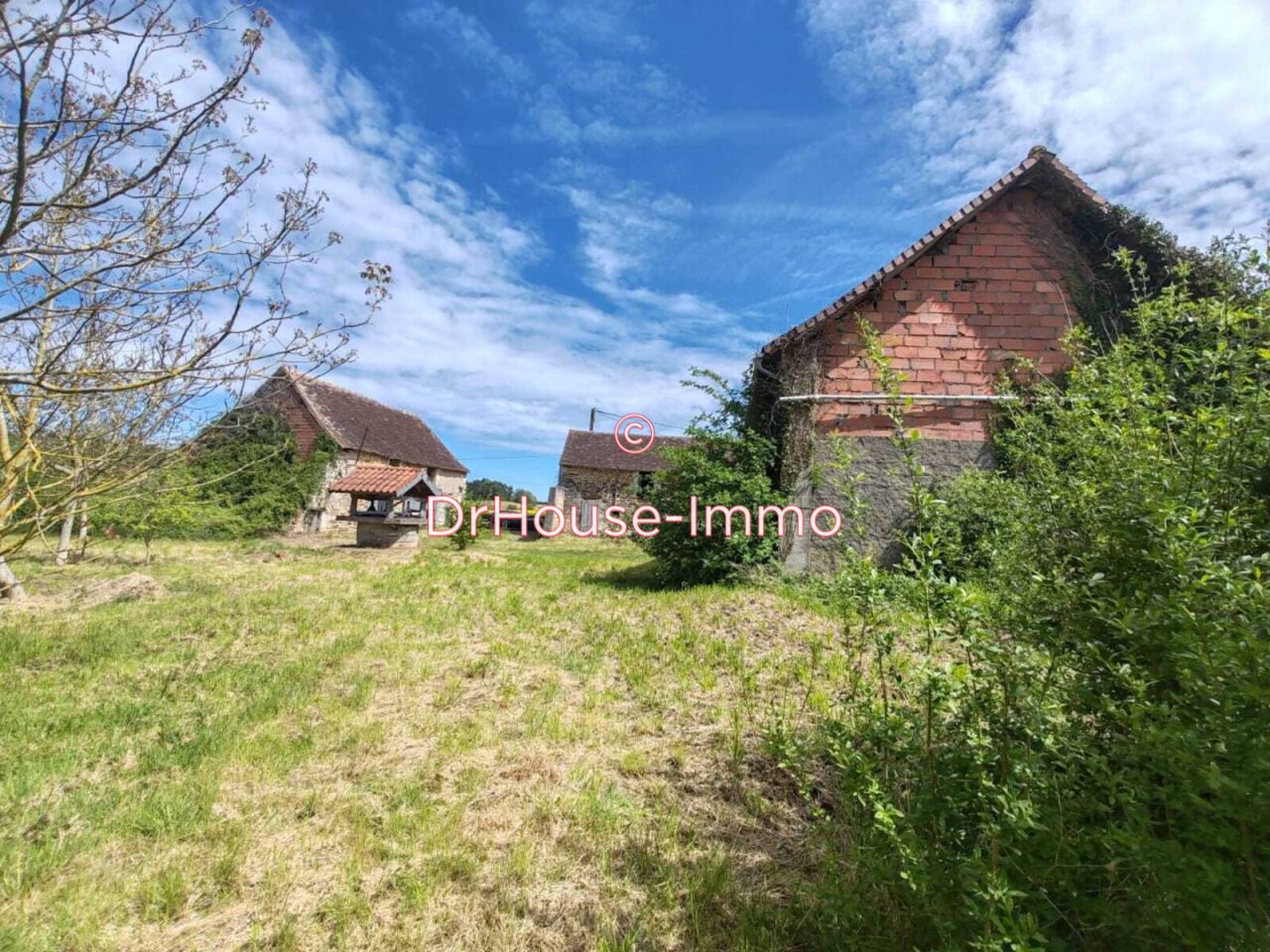 Photo 2 : Vente Maison 5 pièces Dangé-Saint-Romain 240 m²