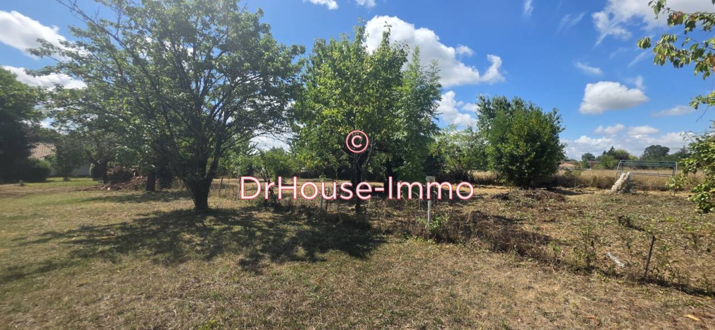 Photo 3 : Vente Terrain Gaillac 1239 m²