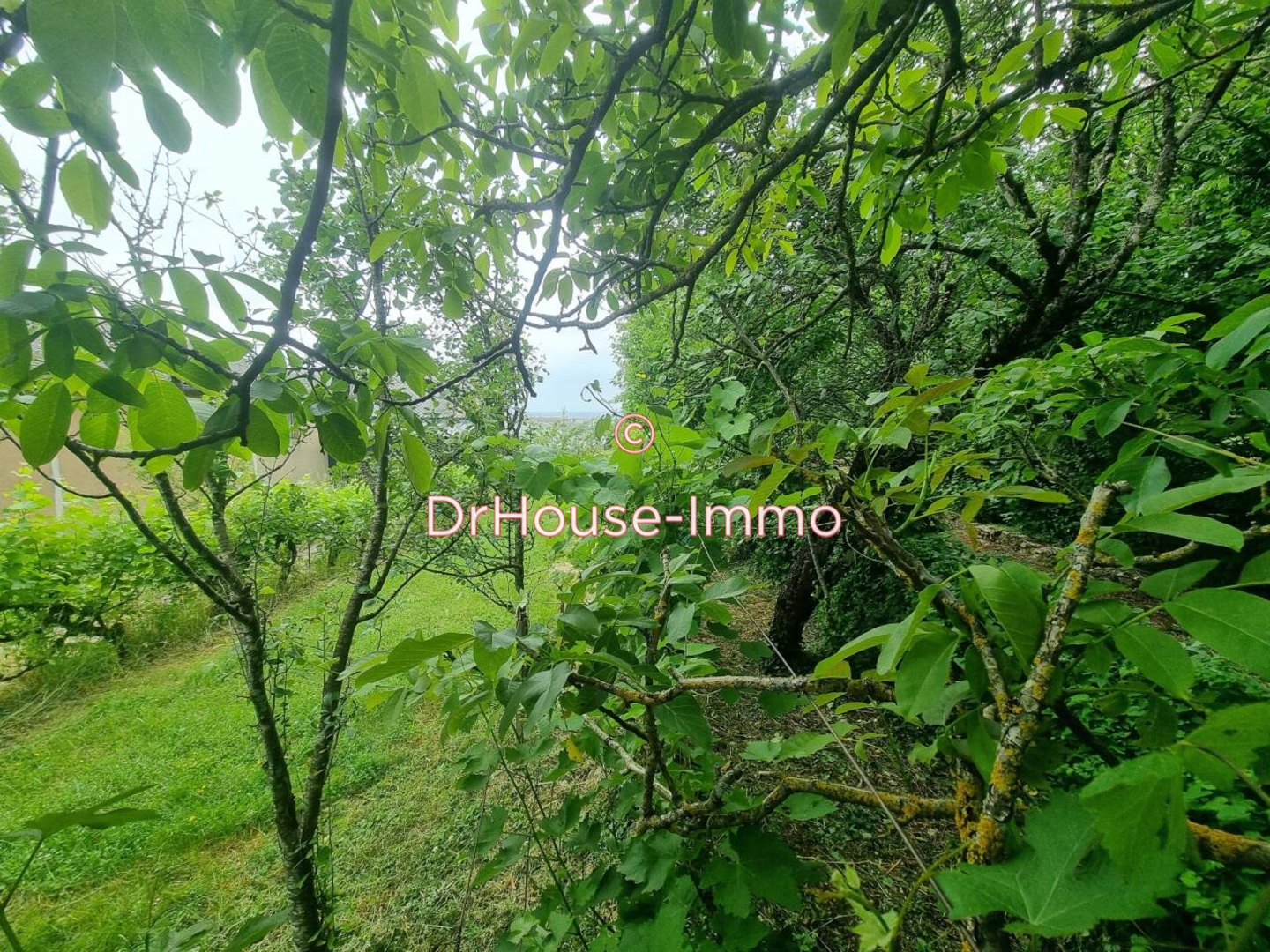 Photo 2 : Vente Propriété 10 pièces Sébazac-Concourès 200 m²