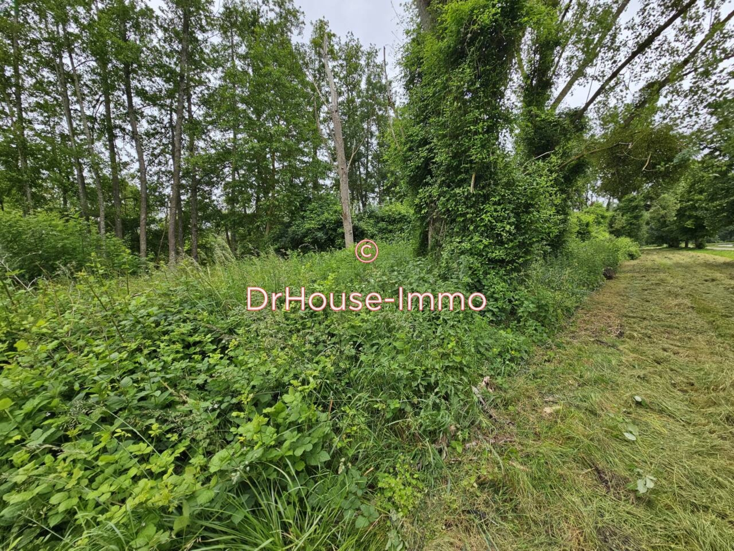Photo 1 : Vente Terrain Cepoy 238 m²