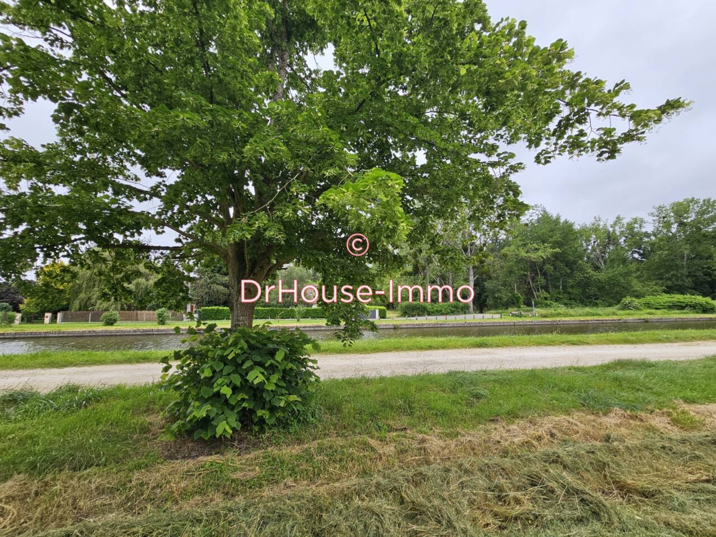 Photo 2 : Vente Terrain Cepoy 238 m²