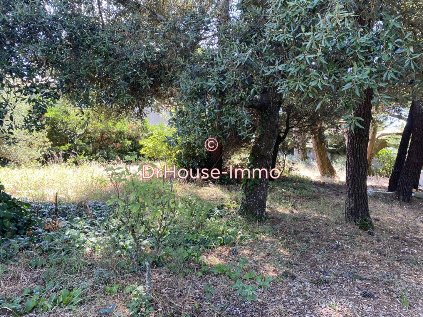 Photo 1 : Vente Maison 4 pièces Sainte-Marie-de-Ré 152 m²