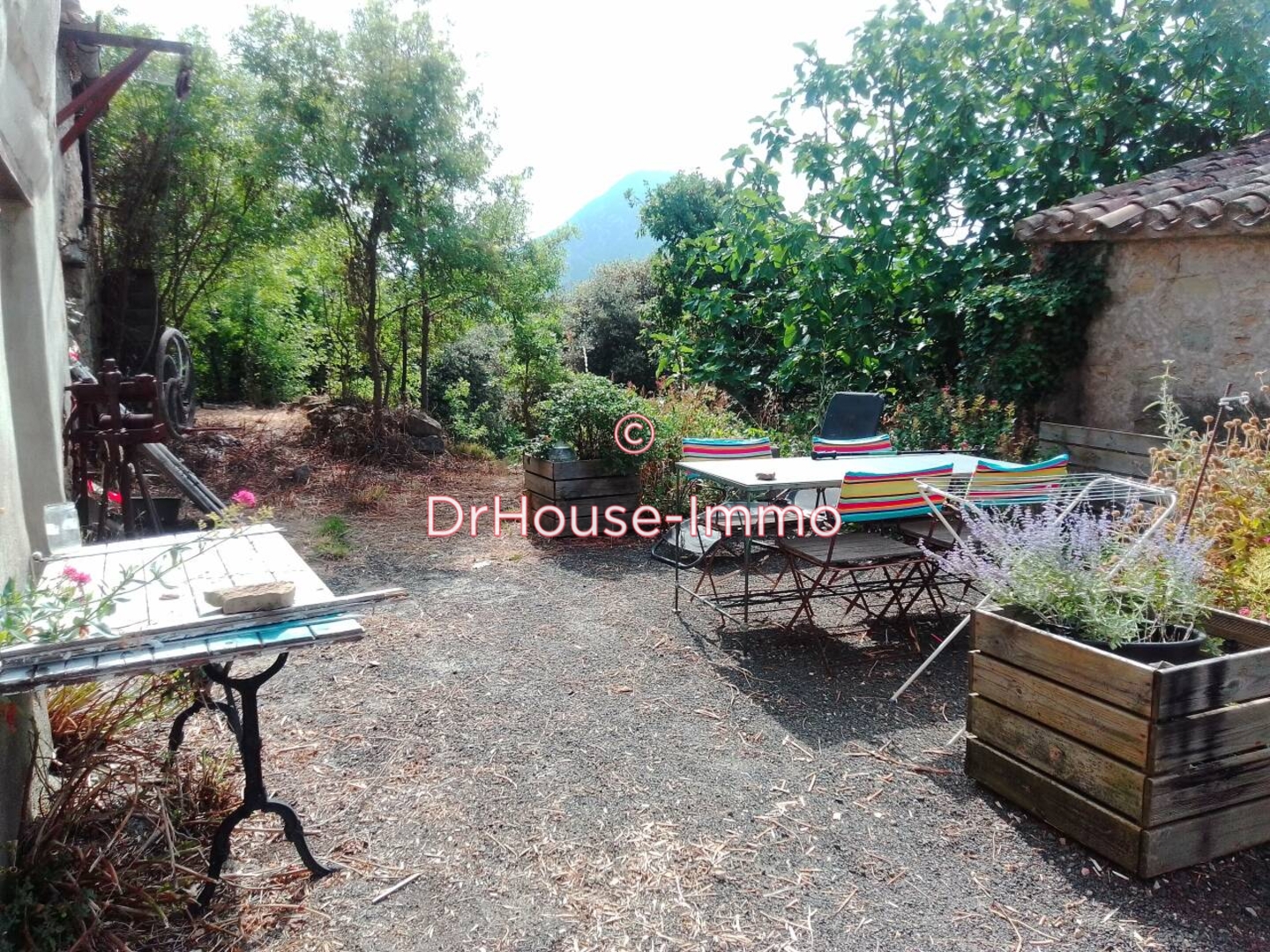 Photo 1 : Vente Maison 2 pièces Cassaignes 80 m²