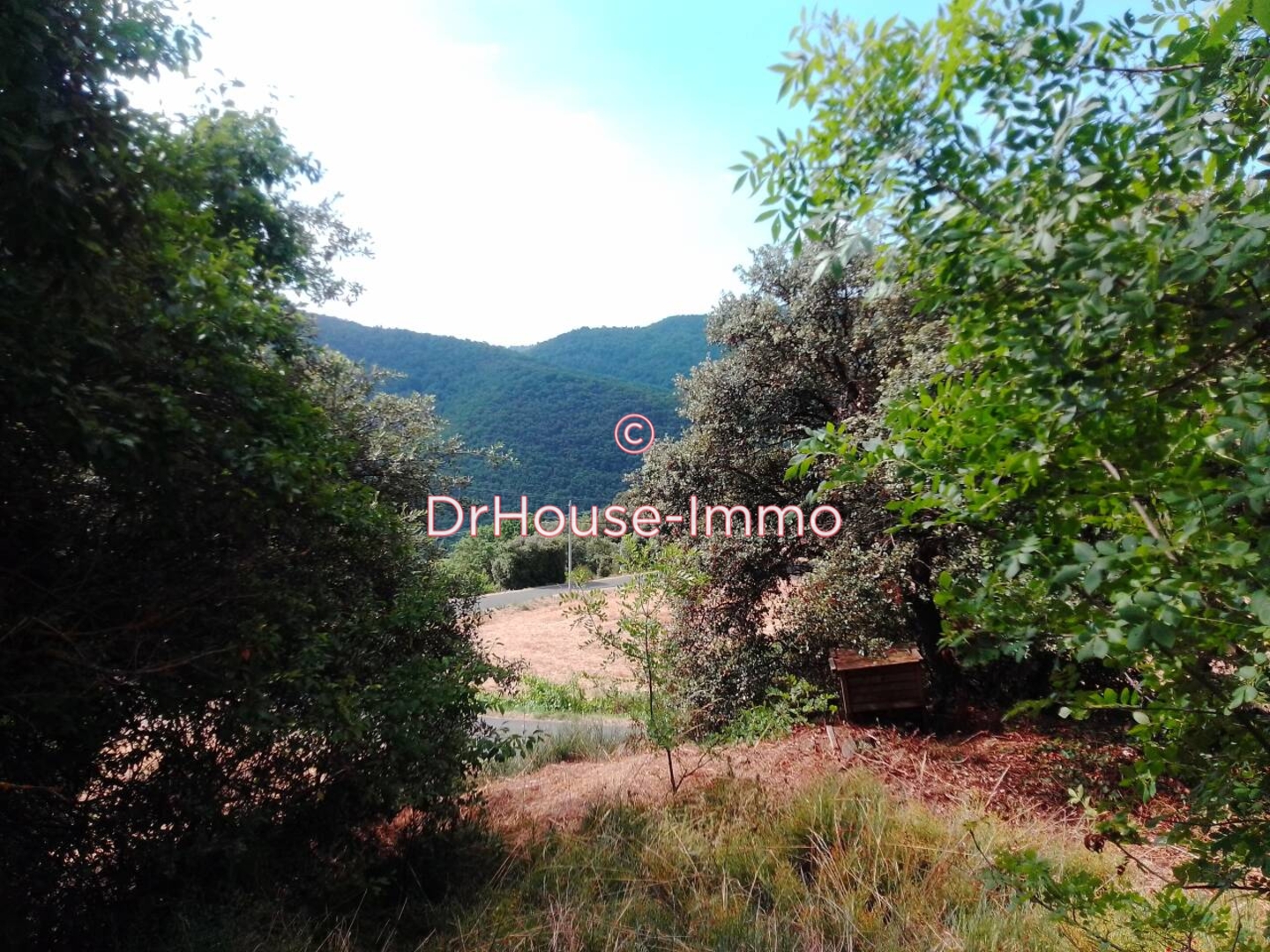 Photo 3 : Vente Maison 2 pièces Cassaignes 80 m²