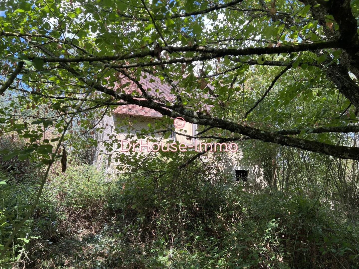 Photo 3 : Vente Maison 2 pièces Maillet 40 m²