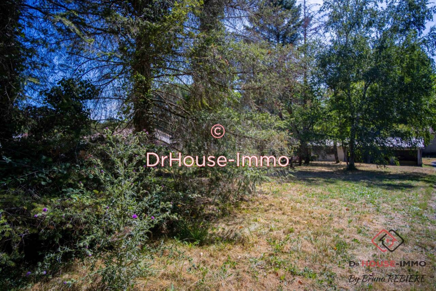 Photo 1 : Vente Terrain  Saint-Germain-du-Salembre 1218 m²