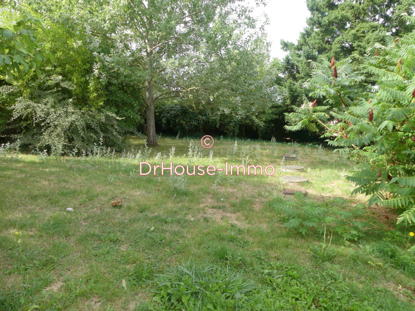 Photo 3 : Vente Maison 6 pièces Changy 99 m²