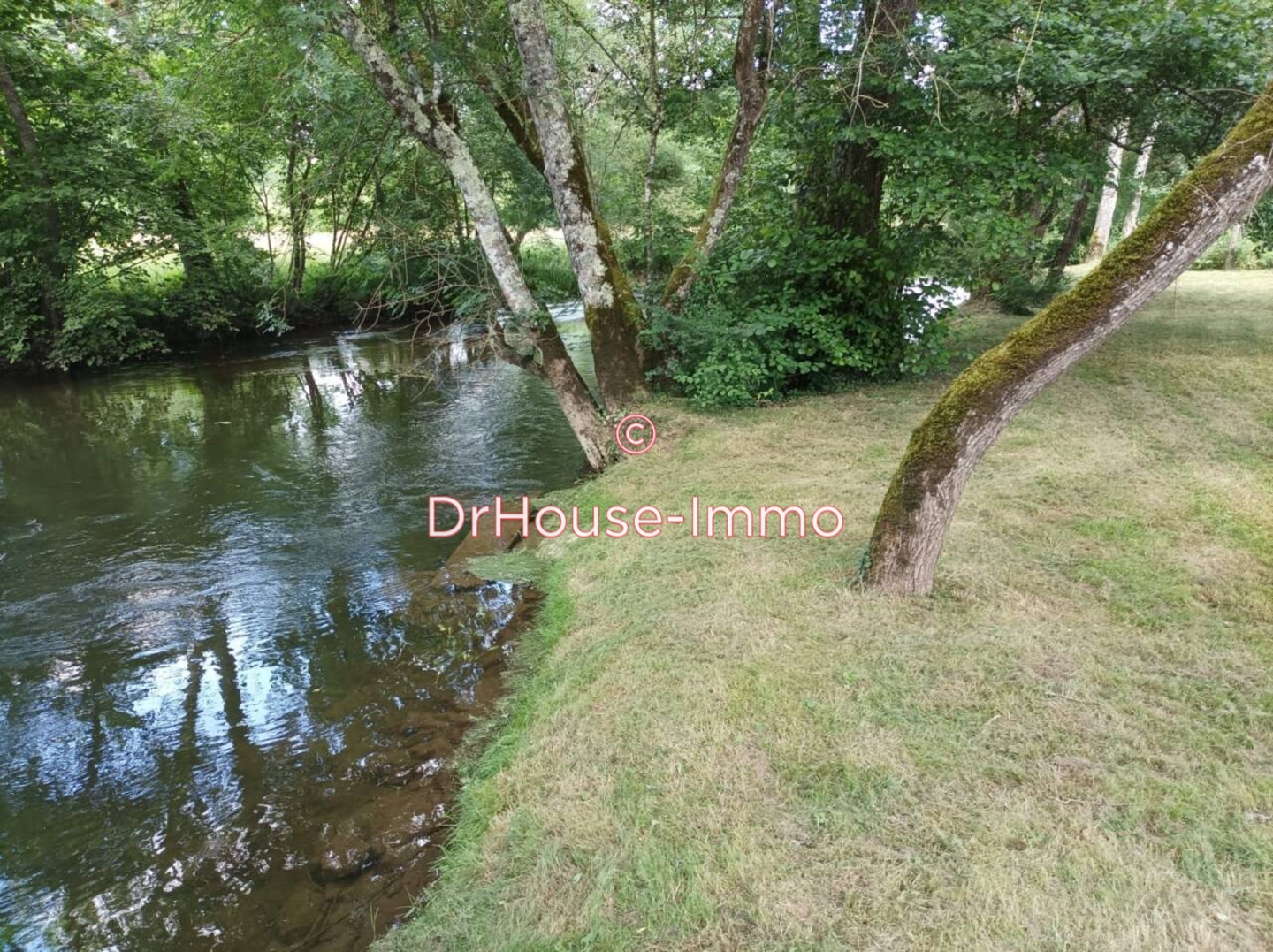Photo 2 : Vente Maison 7 pièces Ribérac 222 m²