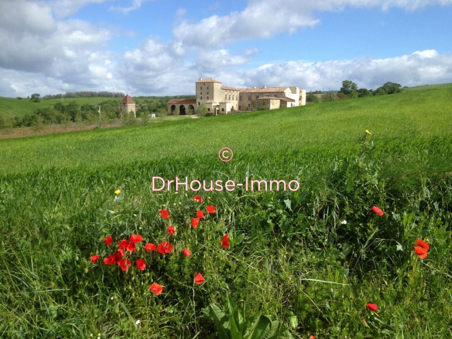 Photo 3 : Vente Château 22 pièces Lasbordes 550 m²