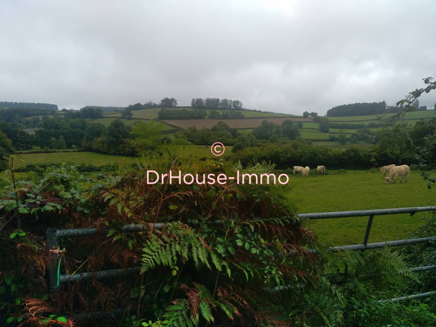 Photo 1 : Vente Terrain  Villefranche-du-Périgord 93648 m²