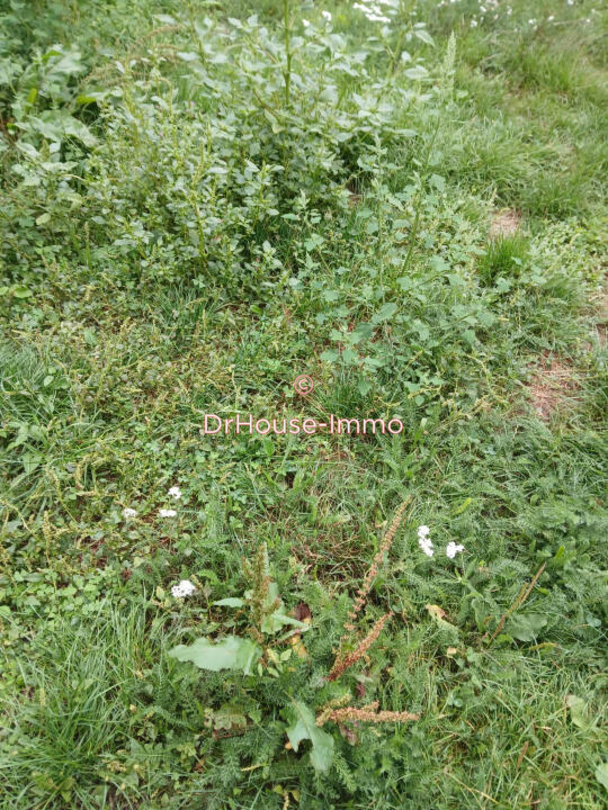 Photo 2 : Vente Terrain Saint-Cyr-sur-Menthon 4360 m²