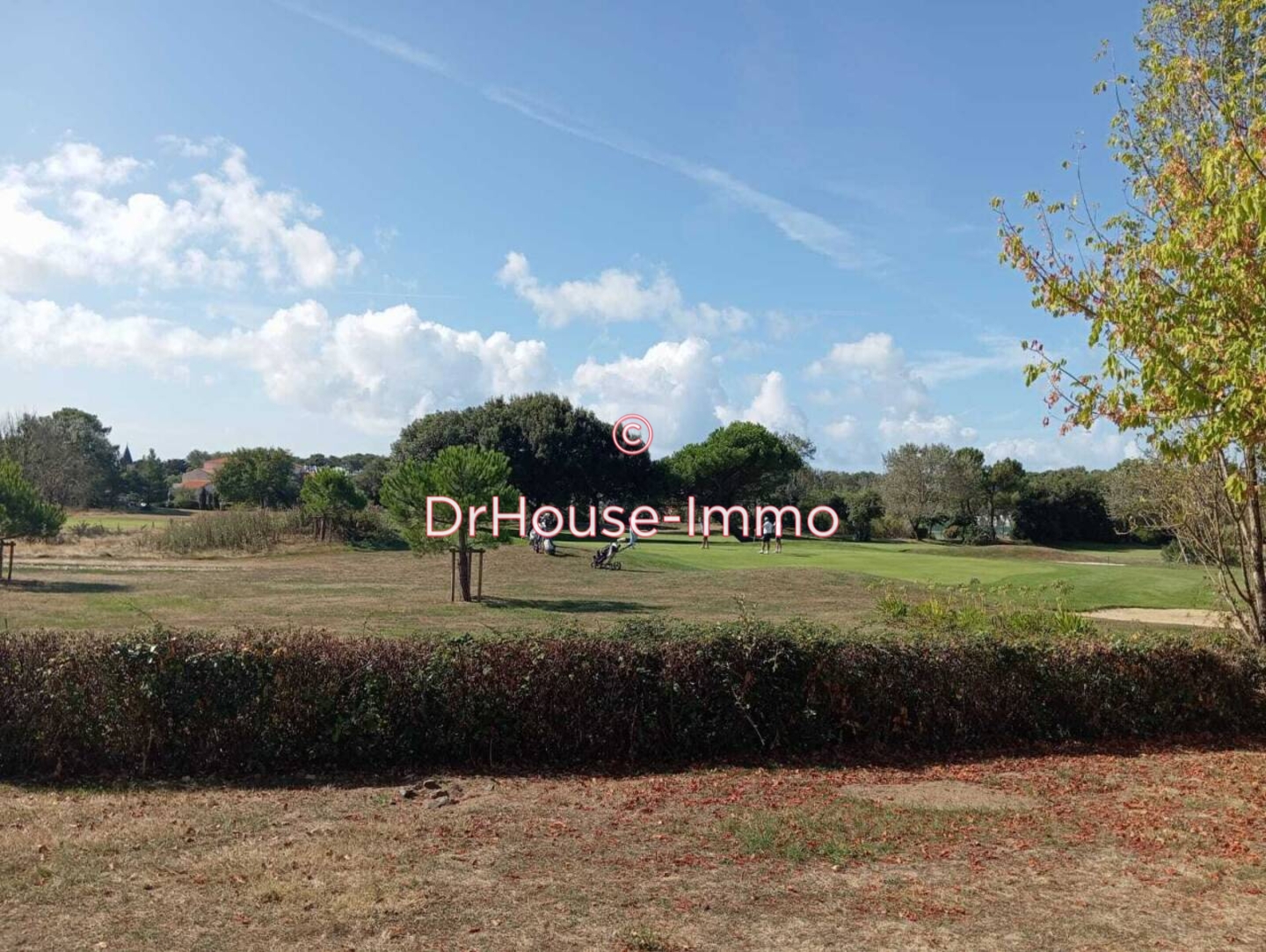 Photo 1 : Vente Appartement 2 pièces Talmont-Saint-Hilaire 23 m²