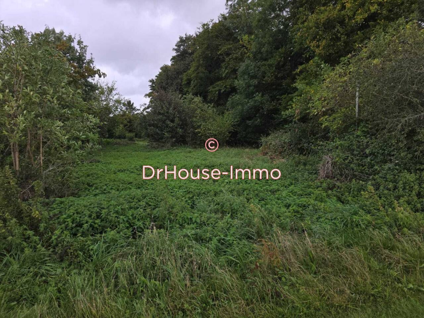 Photo 3 : Vente Terrain Roye 2250 m²