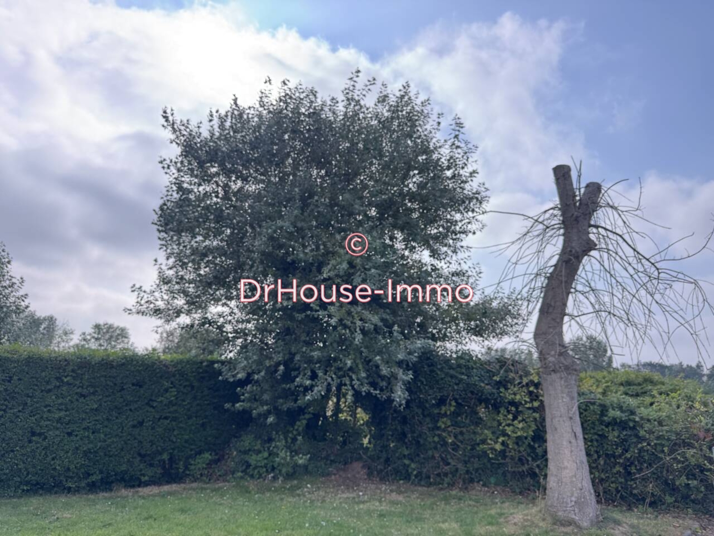 Photo 1 : Vente Maison 4 pièces Asnelles 55 m²